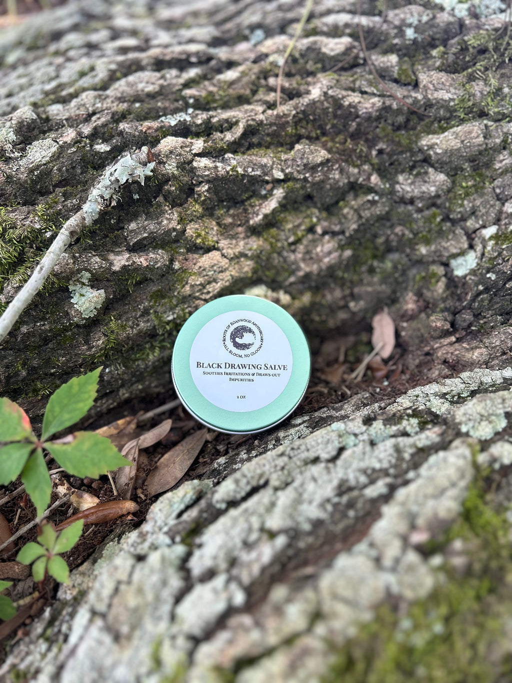 Black Drawing Salve 2 oz